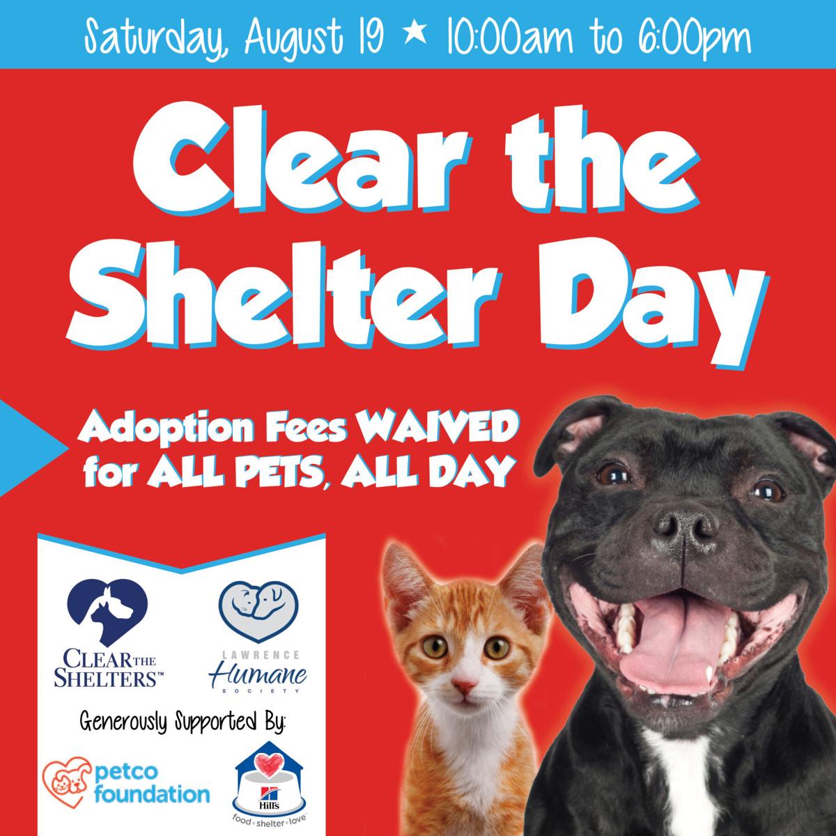 'Clear the Shelter Day' waives adoption fee for pets at Lawrence Humane