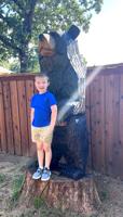 First-grader wants to turn dying trees into carvings