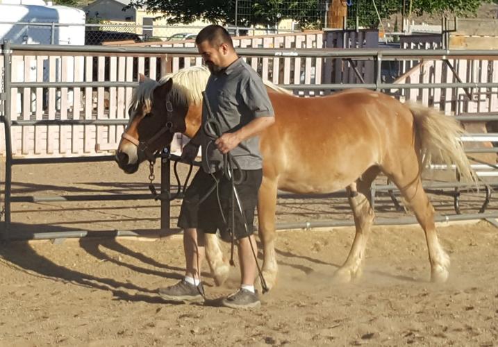 Kingman’s Healing Hooves provides veterans and others in the community