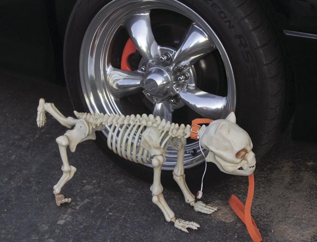 Kingman Halloween Bash News