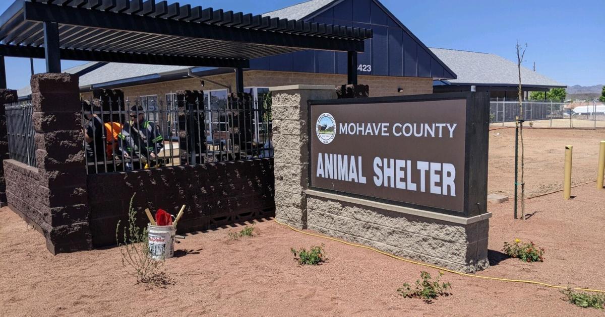 New Animal Shelter Gets First Guest Ribbon Cutting Set For May 6 new-animal-shelter-gets-first-guest-ribbon-cutting-set-for-may-6