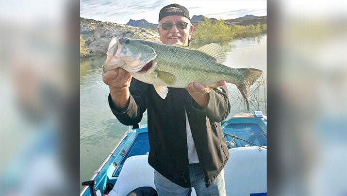Lake Mead produces great bass fishing