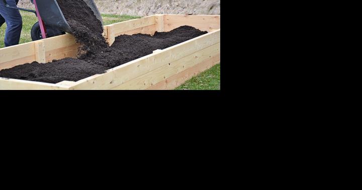 Garden soils best prepared in January - Vimarsana News