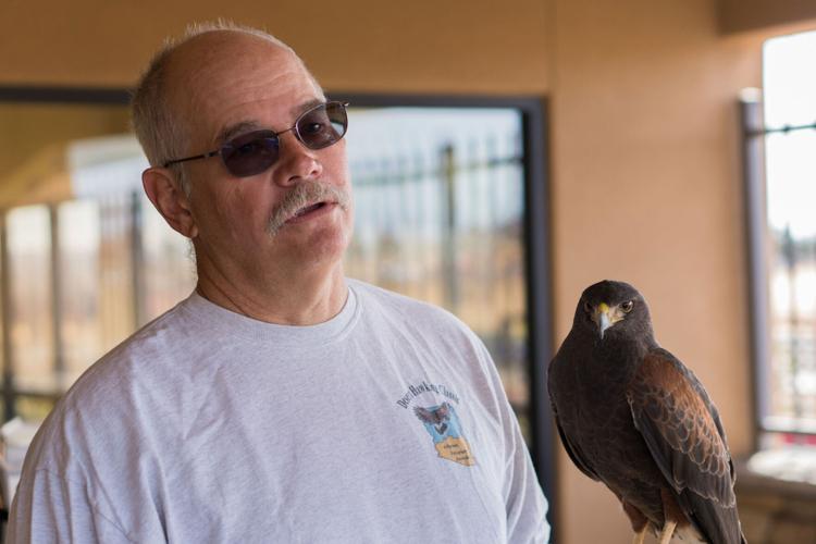 Arizona falconry takes flight in efforts to promote conservation