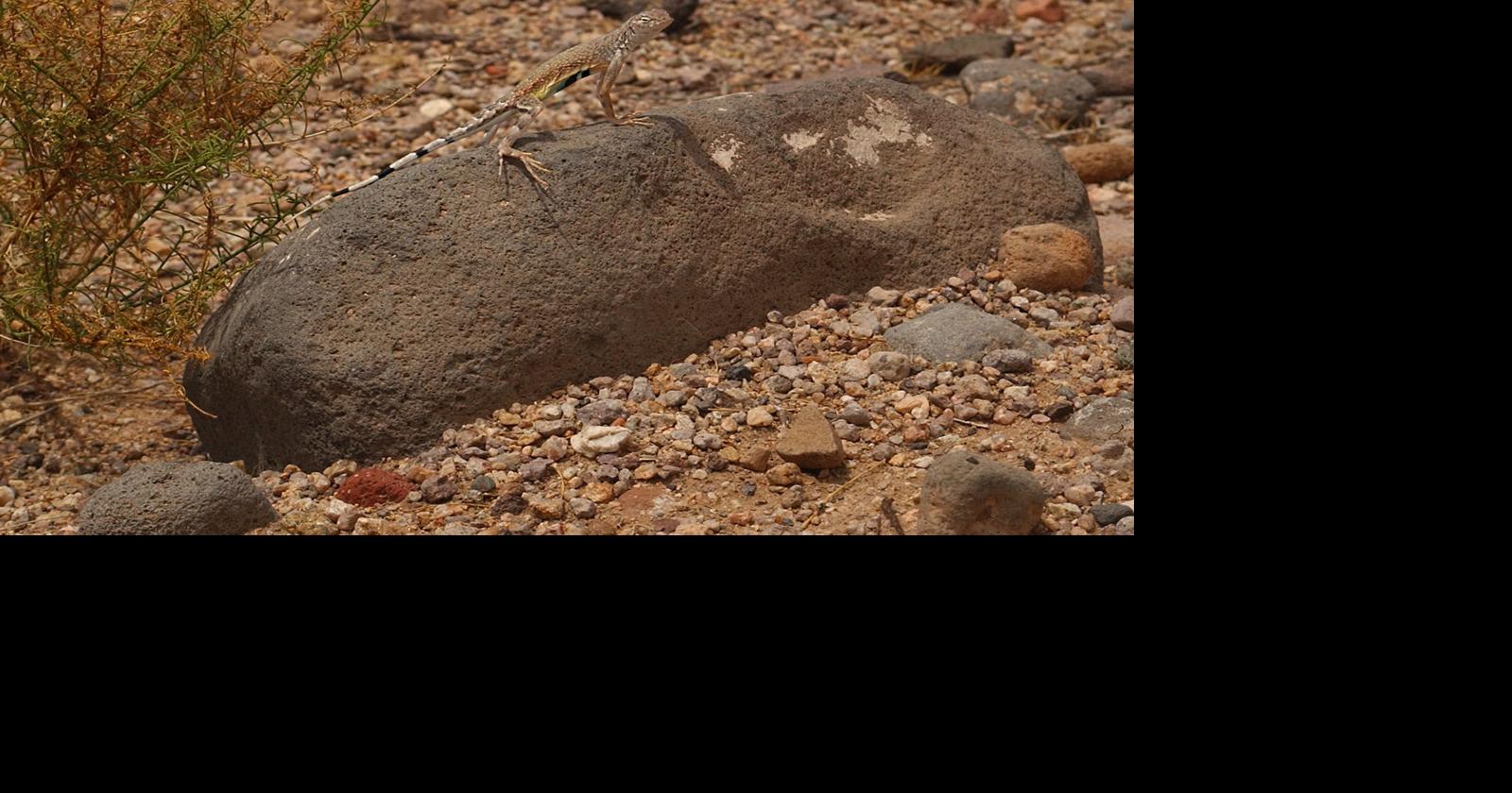 Nature Notes | How I got the shot | Features | kdminer.com