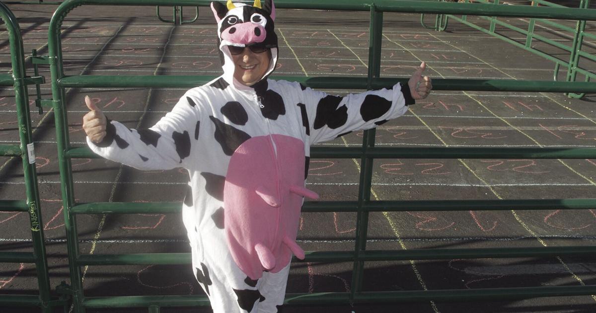 Grand Canyon Pro Rodeo Association Rodeo Cow Plop | Features | kdminer.com