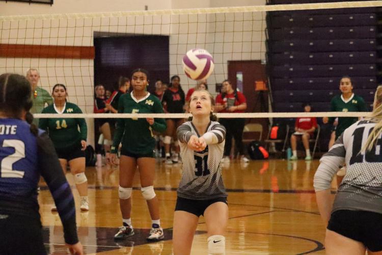 Bulldogs, Tigers volleyball teams compete at Mary Jo Goldey Tournament