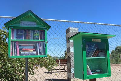 Community gardens’ Little Free Library seeking book donations ...