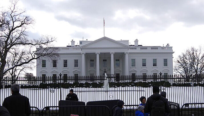 Here, Kitty: Bidens Welcome Cat Named Willow To White House | Features ...