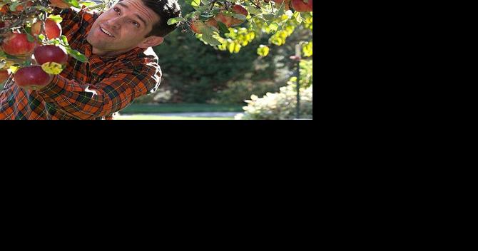 Mountain Gardener | The joy of growing your own fruit trees for better health - Vimarsana News