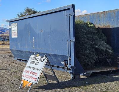 City’s holiday tradition of free tree recycling continues through ...