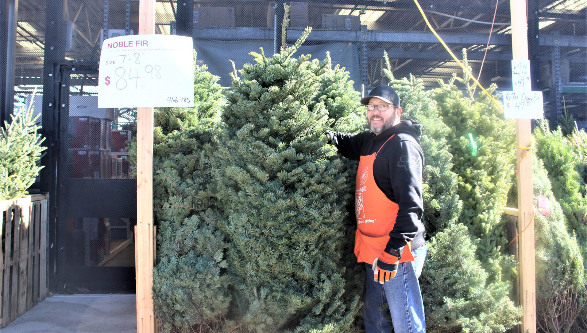 City of Kingman offers free Christmas tree recycling Archives