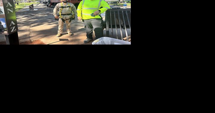 Christmas lights going up around Kingman - Vimarsana News
