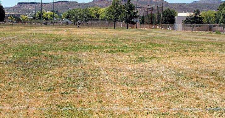 Drought: Western US cities to ban grass | National & World News ...