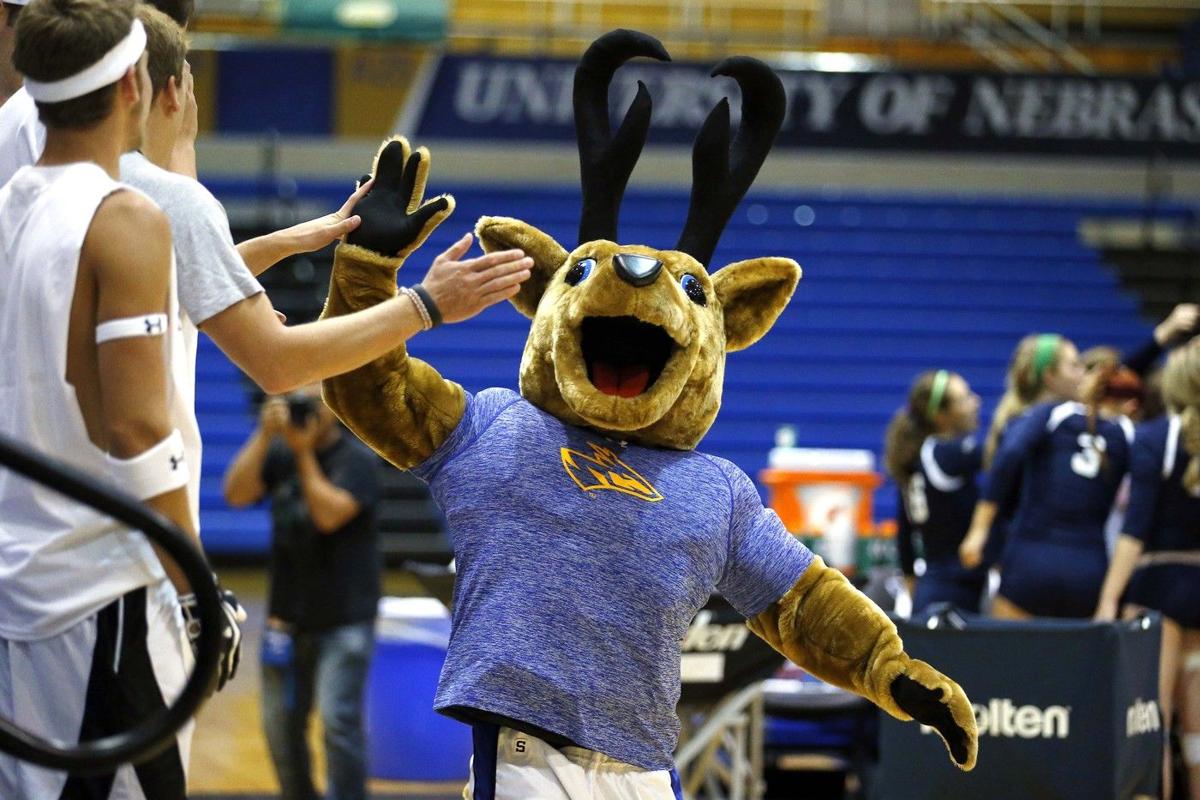 Eight mascots compete in dance off Saturday during UNK basketball games