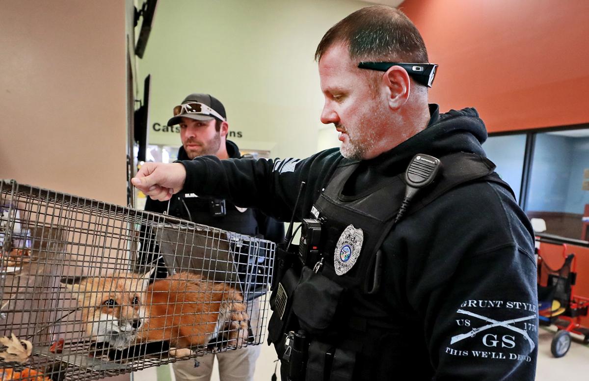 Grand Island animal control officers strive for more professional image