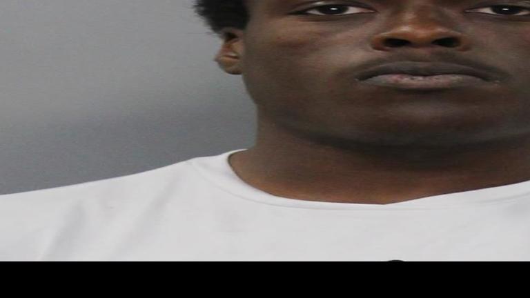 Kearney Man Accused Of Beating Dog With Baseball Bat Killing It