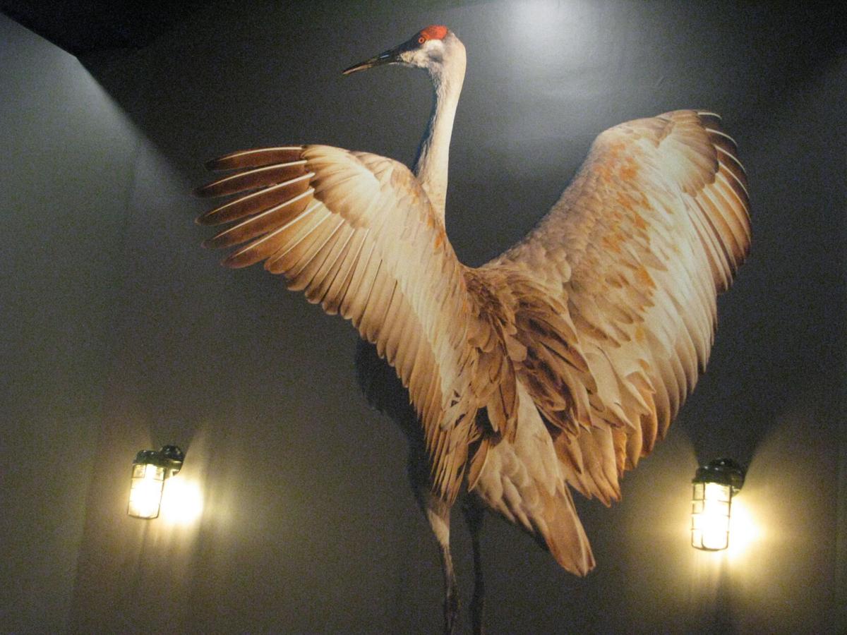 Nebraska Ale Works opens in Kearney