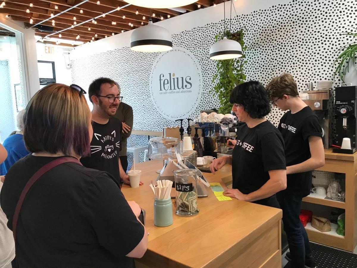  Omaha  s cat  cafe  brings love to people and kitties 
