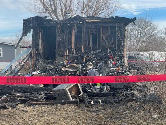 Mobile home lost, cat perishes in Kearney fire