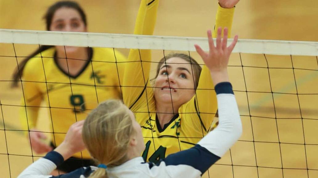 Stars, Crusaders play classic match at Cope Coliseum