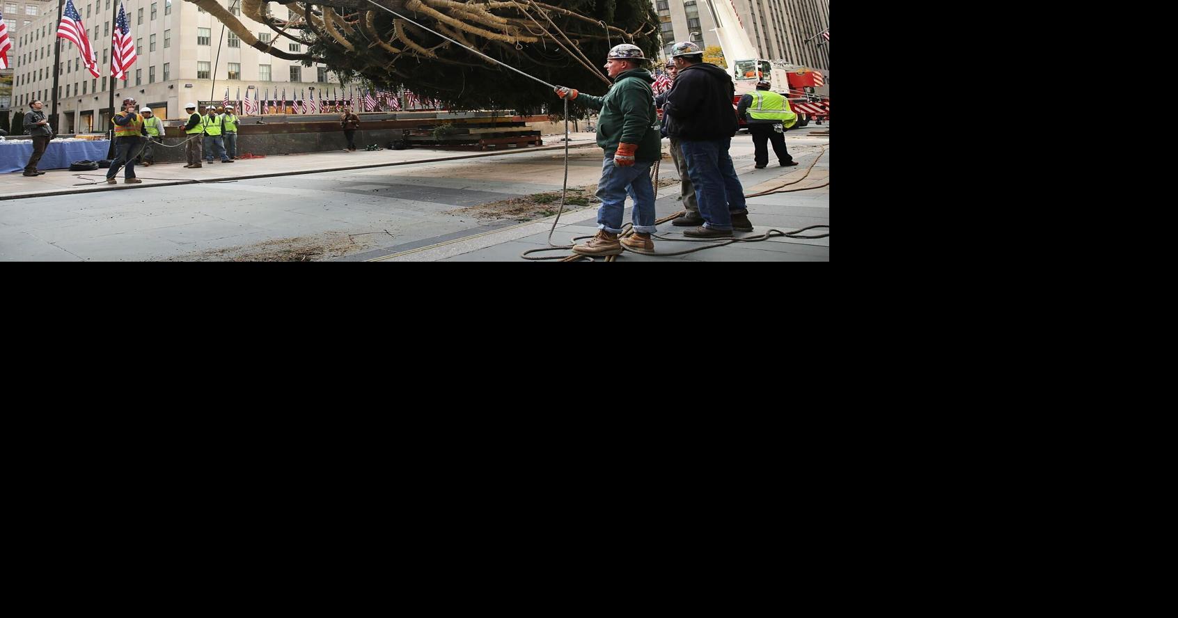 Kearney provides Christmas tree dropoff sites