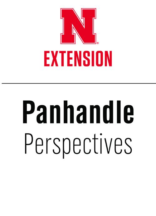PANHANDLE PERSPECTIVES: Managing cows through dry conditions