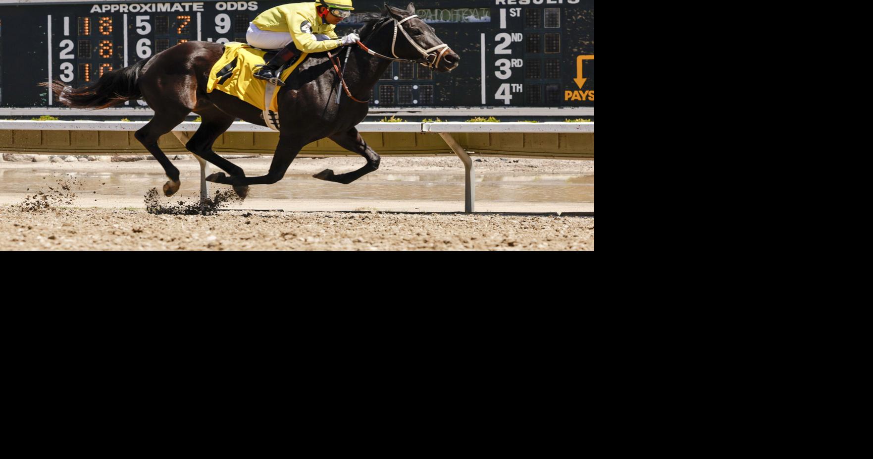 Nebraska has as many Thoroughbred racetracks as Kentucky, the US horse racing capitol