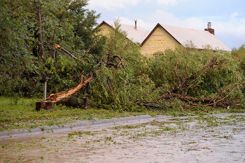 Storms slam Gibbon, Ravenna Local