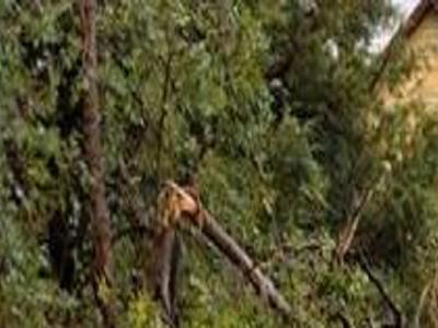 Storms Slam Gibbon Ravenna Local News Kearneyhub Com