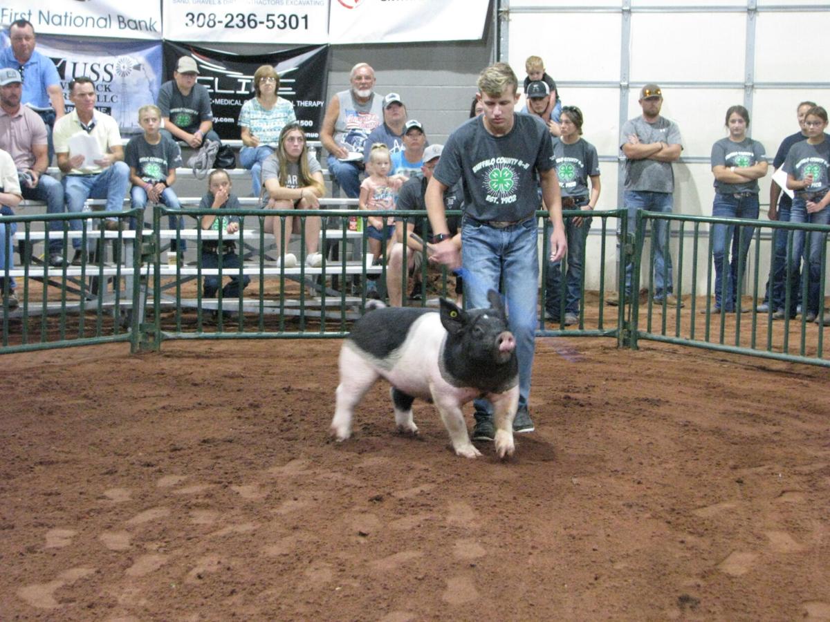 Sam Bissell 4-H auction