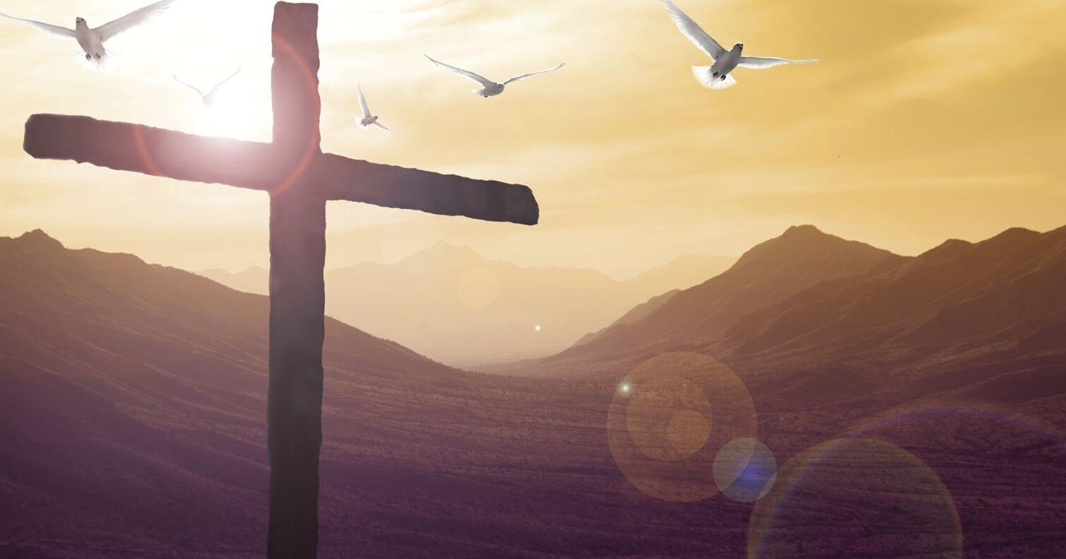 Pastor's Pen: She'd rather know Jesus in her wheelchair than walk without him - Vimarsana News