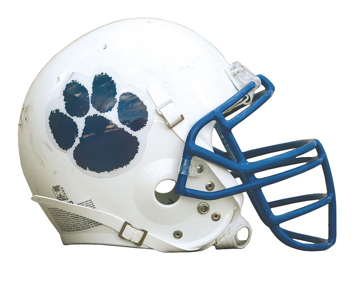 Bearcat Helmet