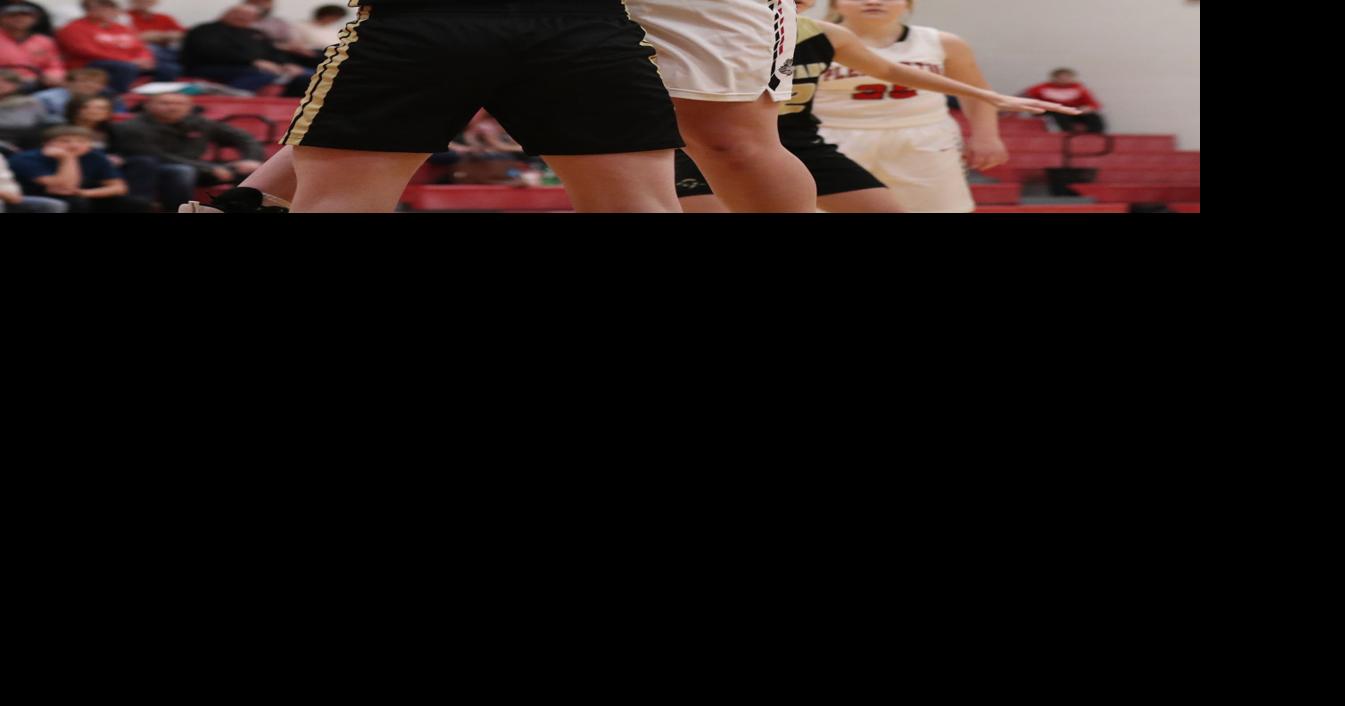 Photos Pleasanton vs AnsleyLitchfield girls' basketball