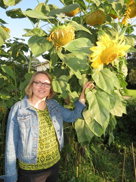 Pawnee corn: Sacred and sustainable