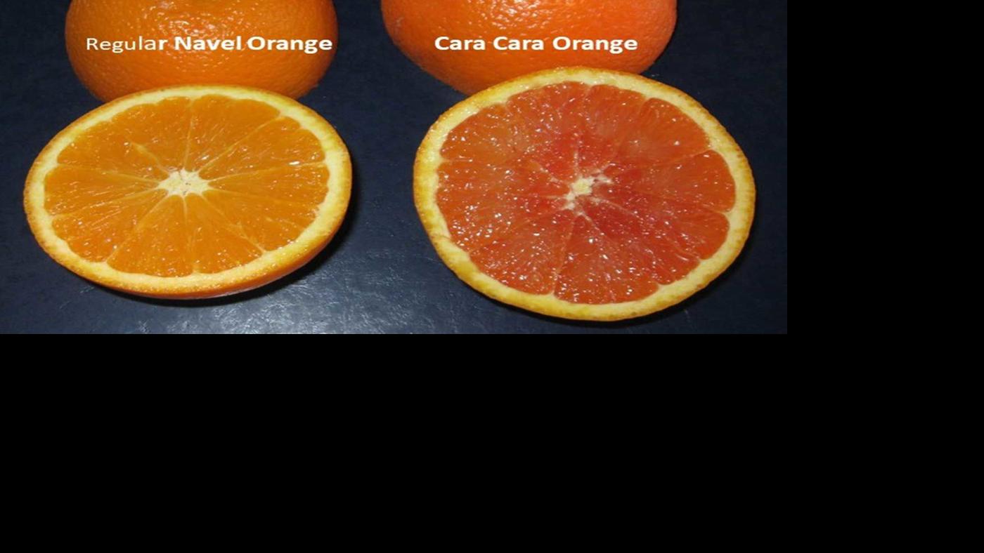Don T Miss Chance For Delicious Fruit Lifestyles Kearneyhub Com Sweet oranges, such as valencia, navel (a seedless variety), and blood oranges, are available all year one medium orange, about the size of a tennis ball, contains 62 calories and 15 grams of. don t miss chance for delicious fruit