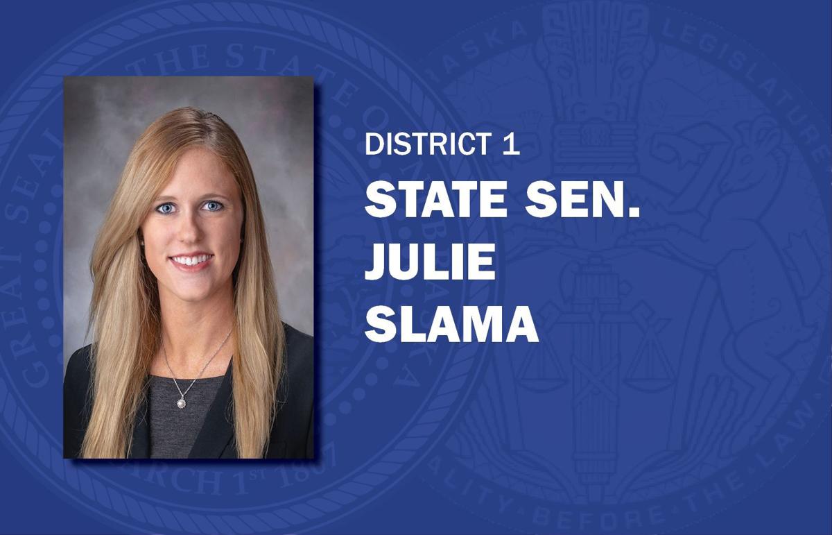 Julie Slama mug senators