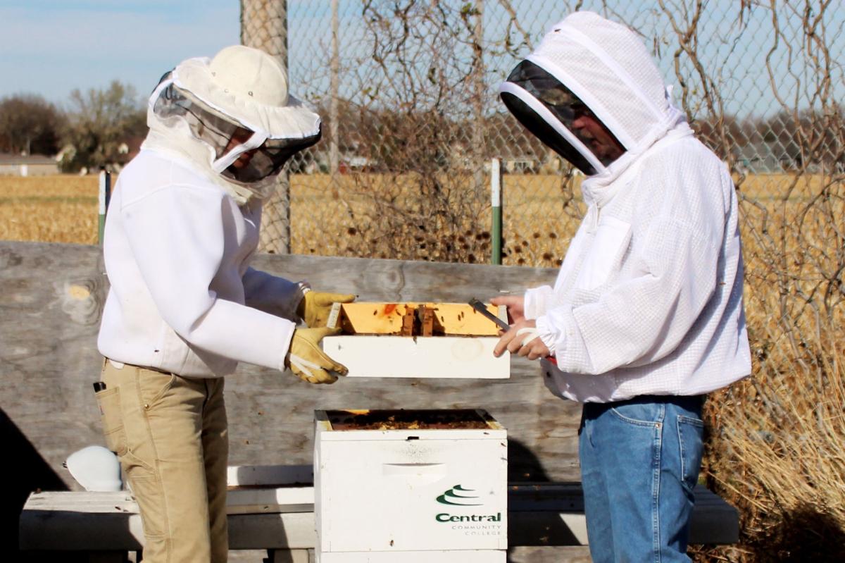 Beekeeping classes starting this month at Grand Island's CCC State & Regional