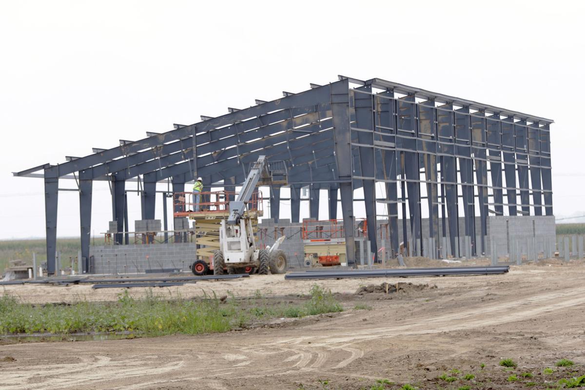 Steel going up on time, concrete work underway at Central Nebraska