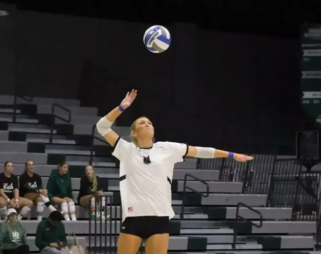 Streak Ends at 21 as #18 Hornets Win in Four in Maryville