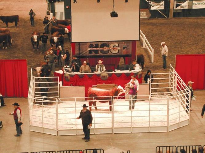 Nebraska Cattlemen’s Classic