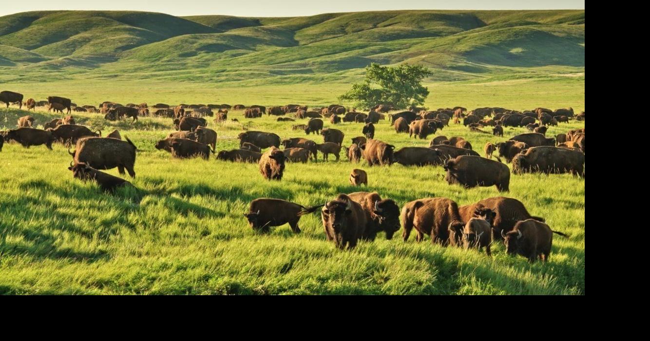 Ted Turner owned vast amounts of Nebraska land. What happens next after his death is unclear