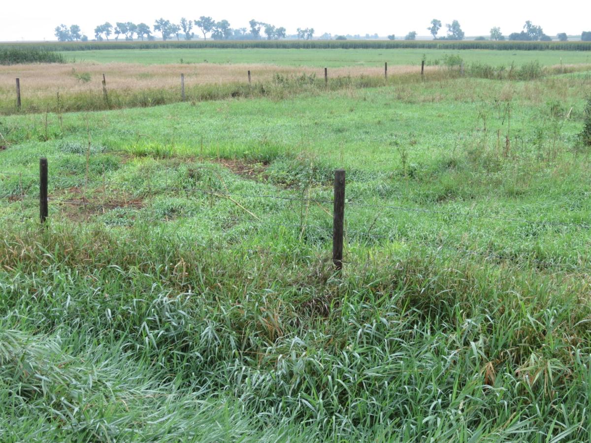 1864 Plum Creek attack unfolds to horror of soldiers