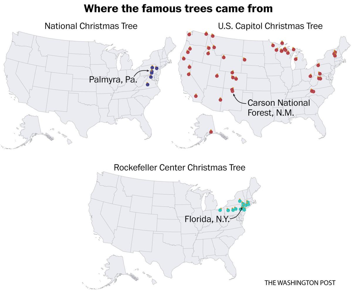 Where do American Christmas trees grow? | Trending | kearneyhub.com