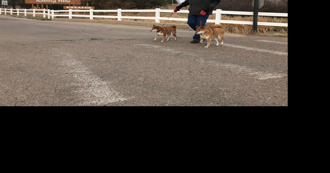Repairs planned for Rolling Hills bridge, but the sole entry point to