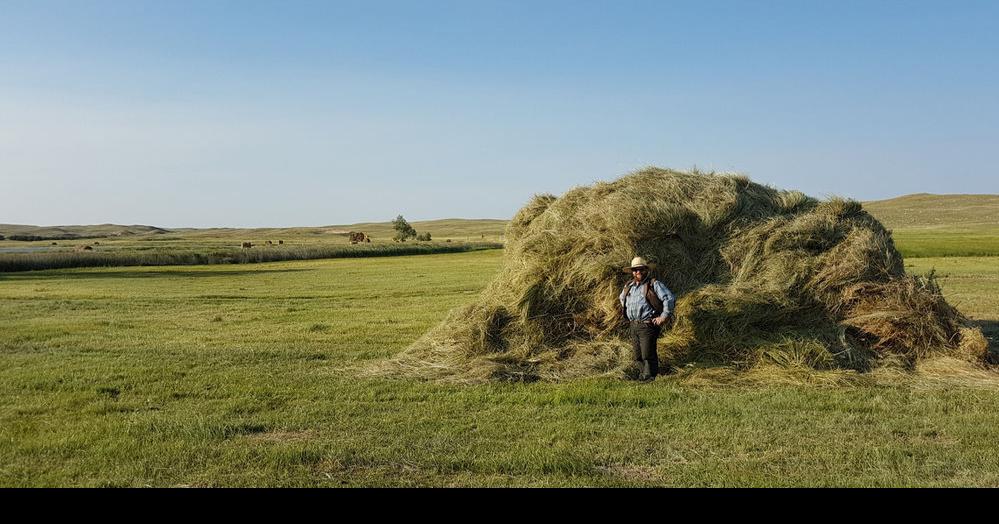 Report Nebraska ag land valuations down in 2017 after decade of double