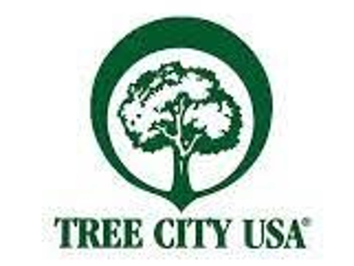 Lexington Named 2020 Tree City Usa By Arbor Day Foundation Local News Kearneyhub Com Arbor Day Foundation Survey 2022