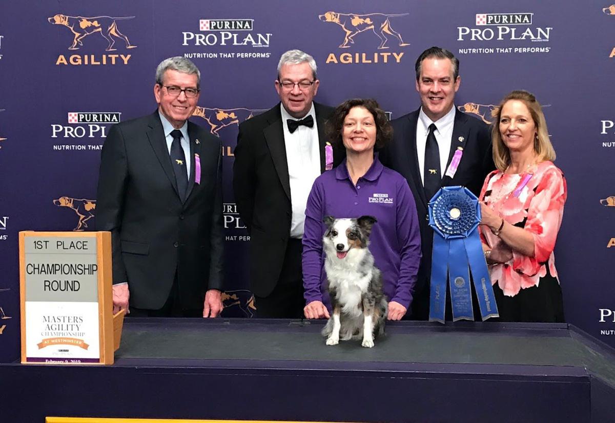 Omaha Dog Pixel Zips Through Agility Course To Win