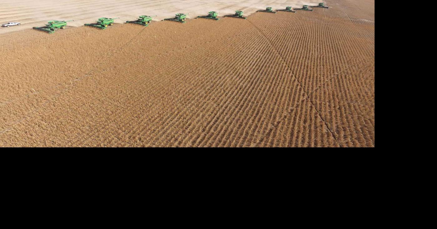 'It was so moving': Volunteers harvest Decatur farmer’s soybean crop ...