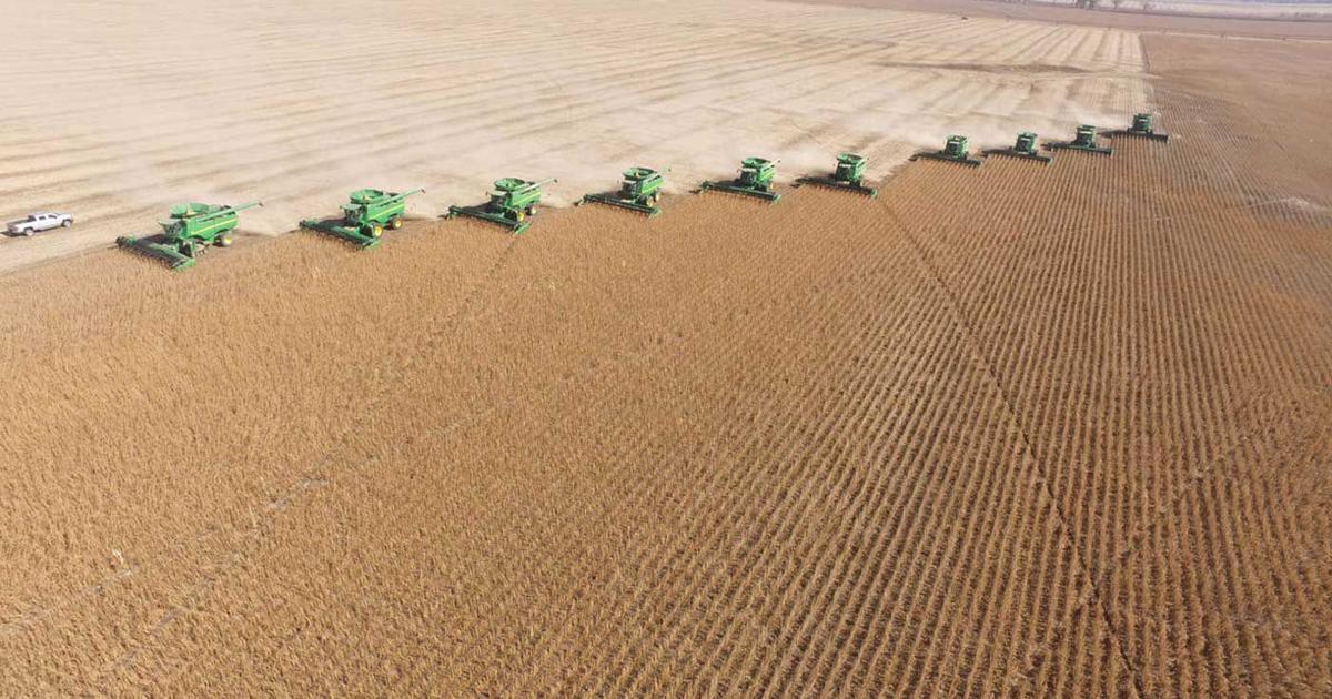 Soy Decatur 'It was so moving': Volunteers harvest Decatur farmer’s soybean crop ...